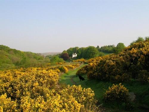 Lydgate House Hotel Postbridge Bagian luar foto