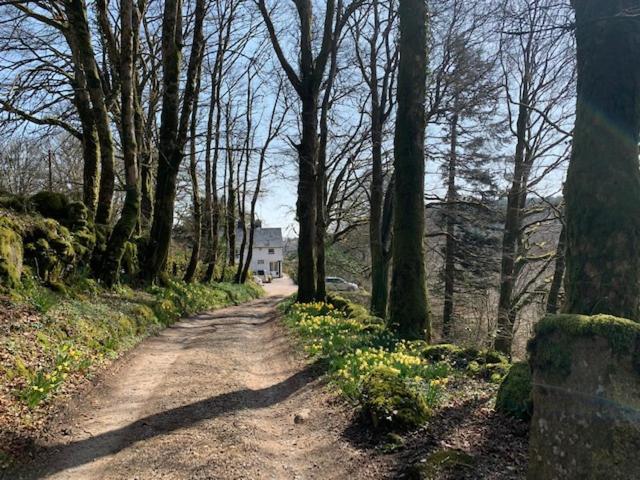 Lydgate House Hotel Postbridge Bagian luar foto